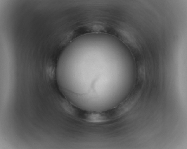X0000111950177200908031205