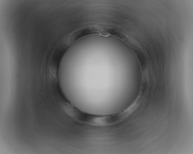X0000111950178200908031205
