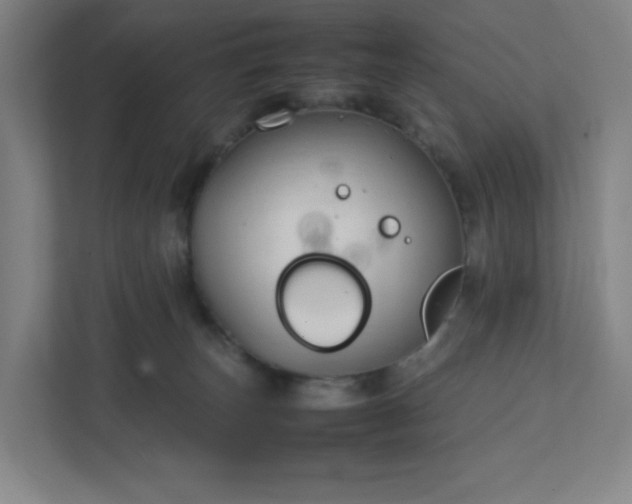 X0000111950179200908031205