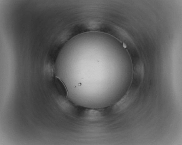 X0000111950180200908031205