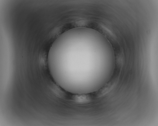 X0000111950181200908031205