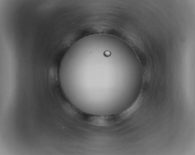 X0000111950182200908031205