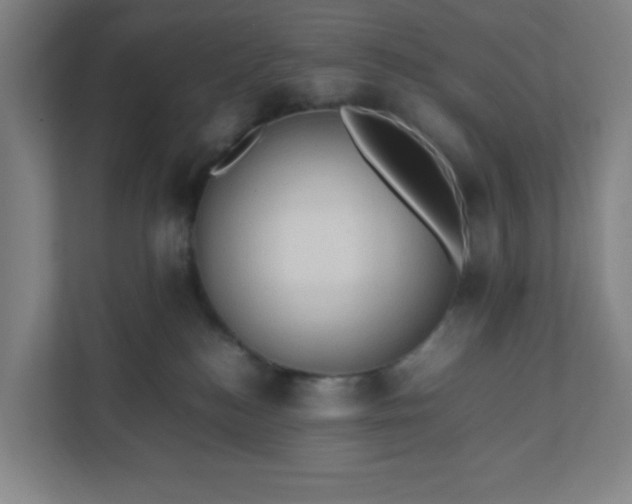 X0000111950184200908031205