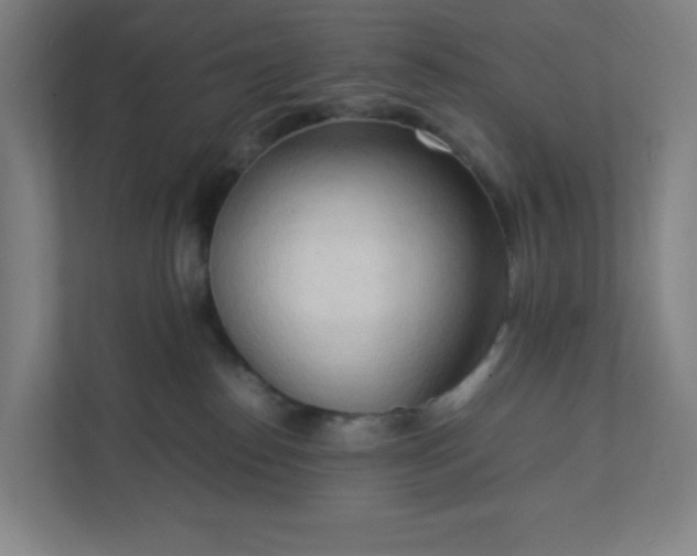 X0000111950186200908031205