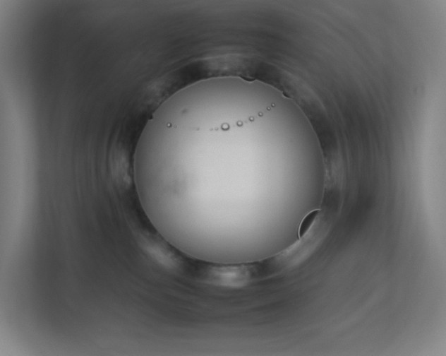 X0000111950187200908031205