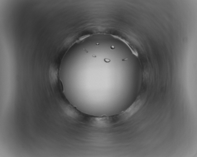 X0000111950188200908031205