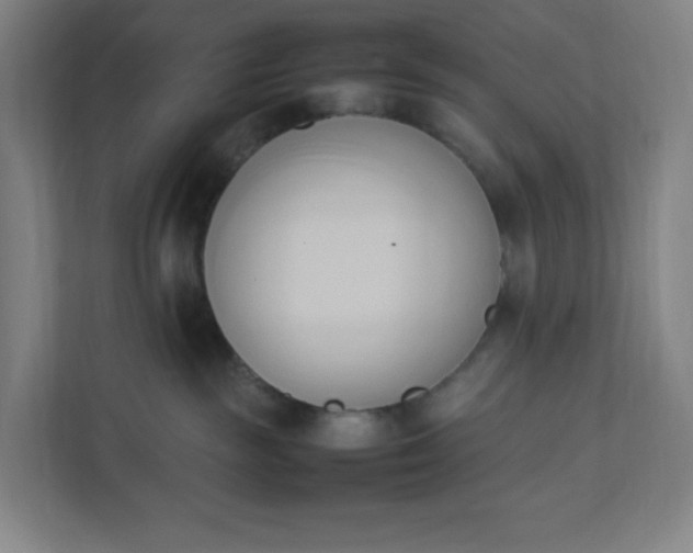 X0000111950189200908031205