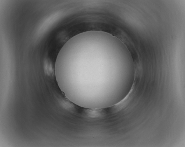X0000111950191200908031205