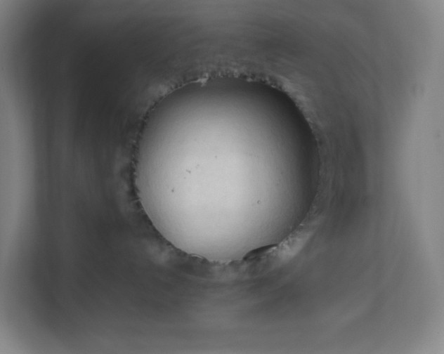 X0000111950192200908031205
