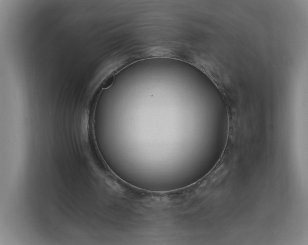 X0000111950194200908031205