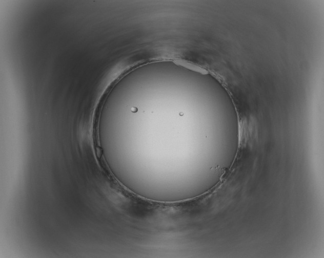 X0000111950195200908031205