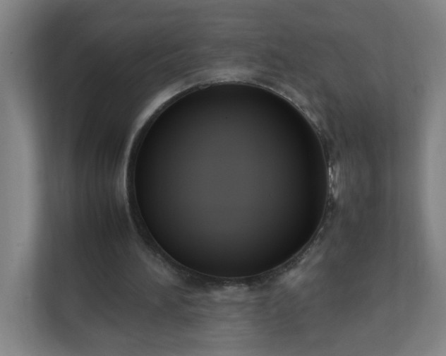 X0000111950196200908031205