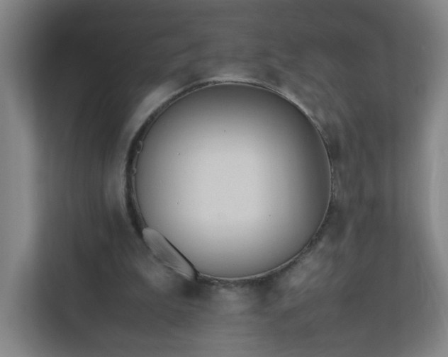 X0000111950199200908031205