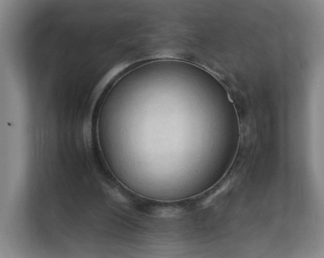 X0000111950200200908031205