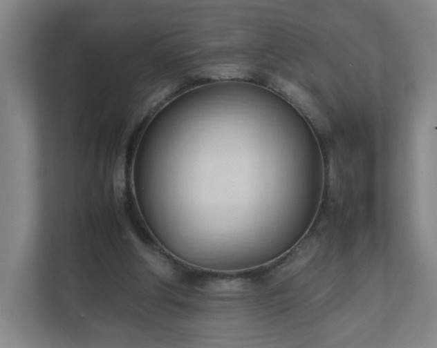X0000111950202200908031205