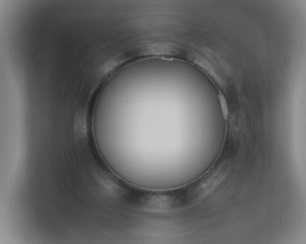 X0000111950203200908031205