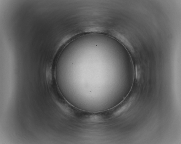 X0000111950204200908031205