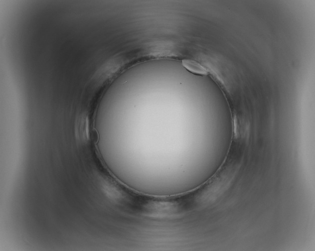 X0000111950205200908031205