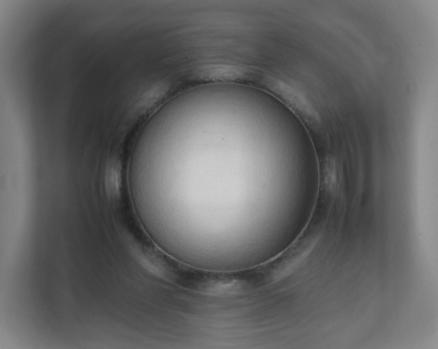 X0000111950206200908031205