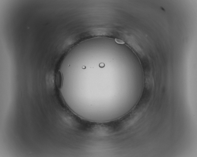 X0000111950207200908031205