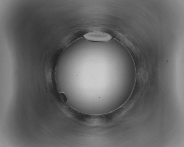 X0000111950209200908031205