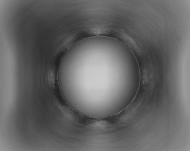 X0000111950210200908031205