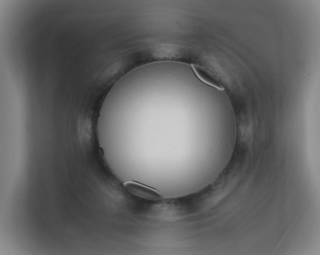 X0000111950211200908031205