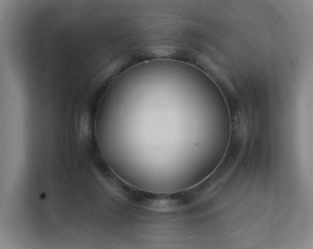 X0000111950212200908031205