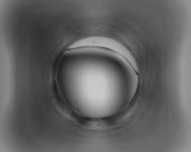 X0000111950215200908031205