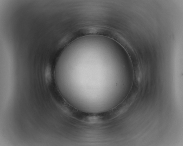 X0000111950216200908031205