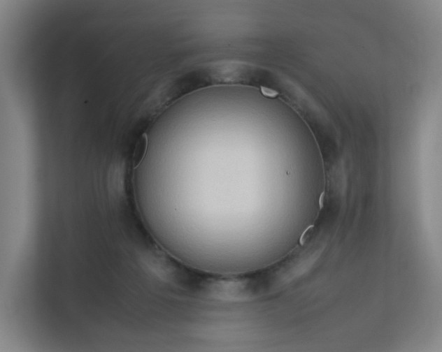X0000111950217200908031205