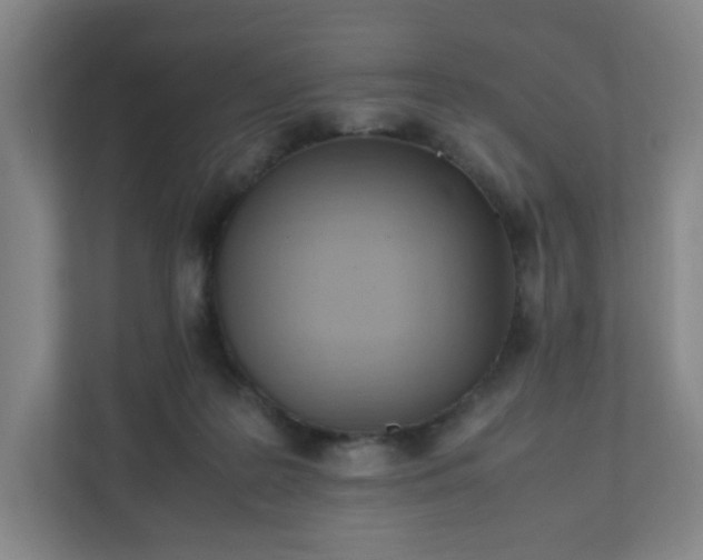 X0000111950219200908031205