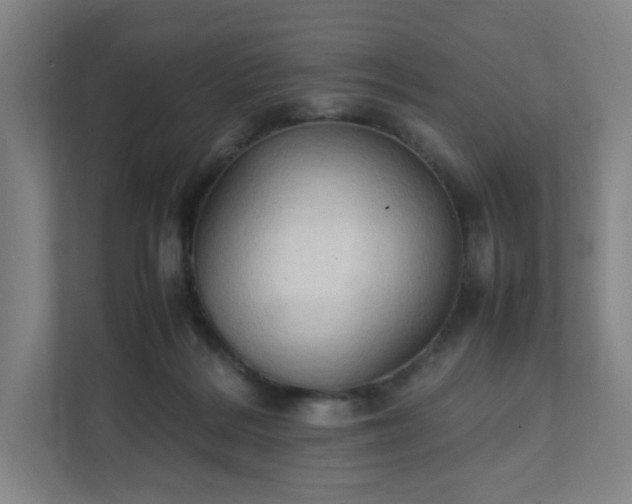 X0000111950220200908031204