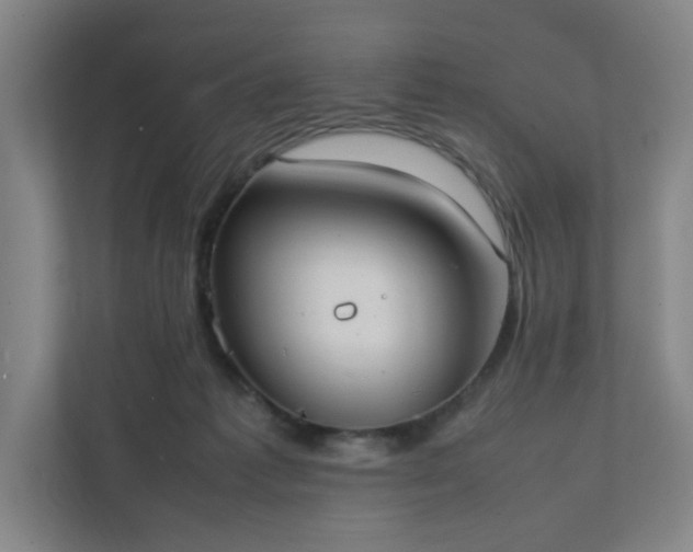 X0000111950221200908031204