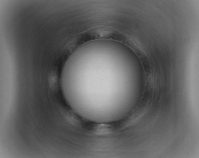 X0000111950222200908031204