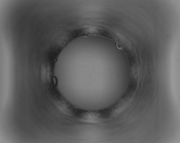 X0000111950223200908031204
