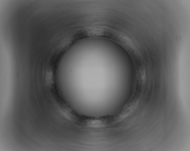 X0000111950224200908031204