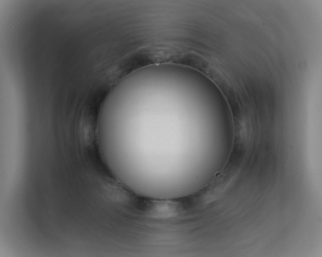 X0000111950226200908031204