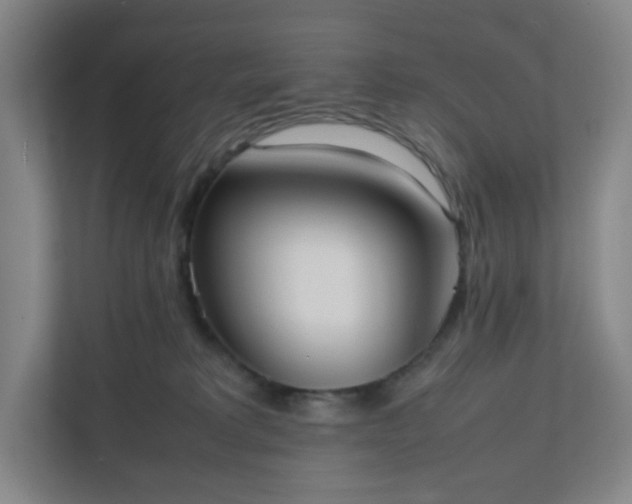 X0000111950229200908031204
