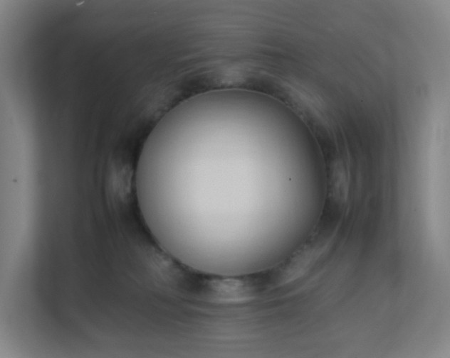 X0000111950230200908031204