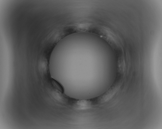 X0000111950231200908031204