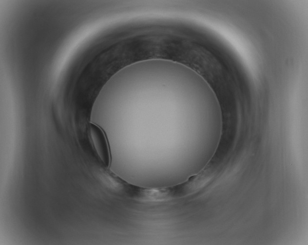 X0000111950239200908031204