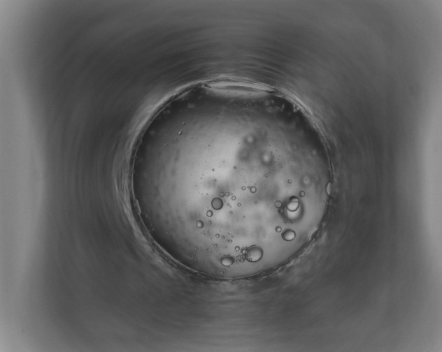 X0000111950241200908031204