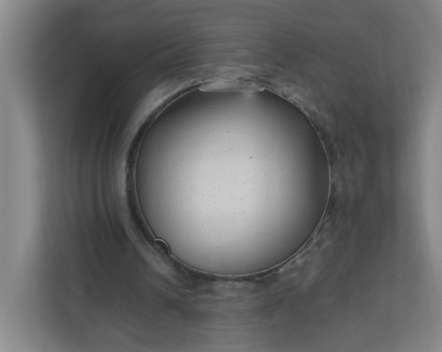 X0000111950242200908031204