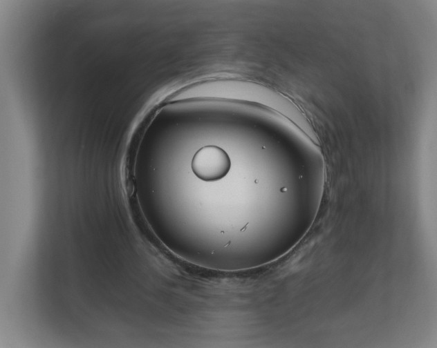 X0000111950244200908031204