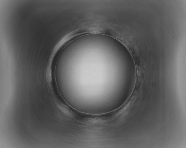 X0000111950246200908031204
