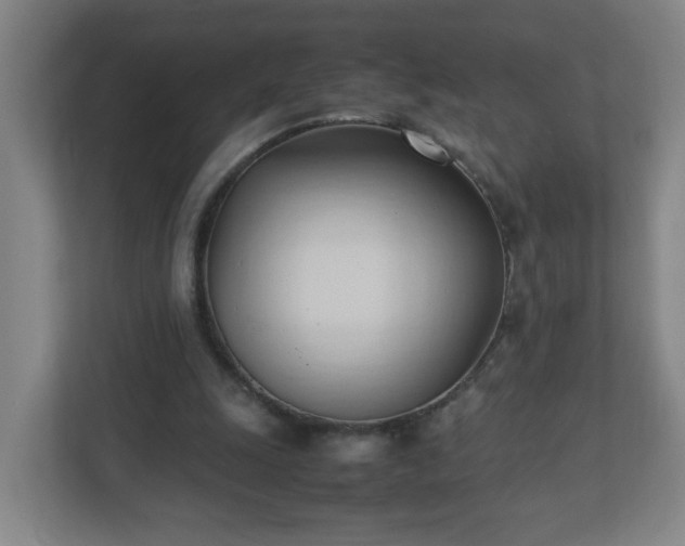 X0000111950247200908031204