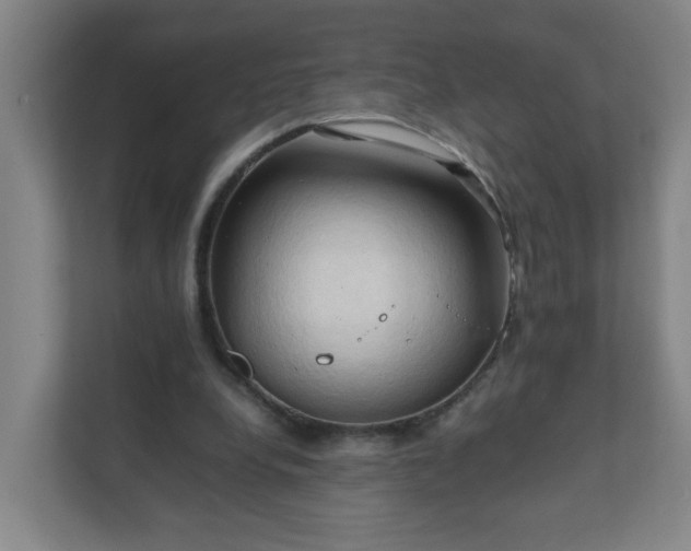 X0000111950248200908031204