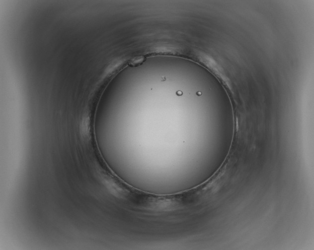 X0000111950249200908031204