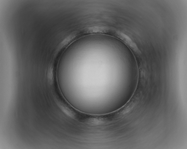 X0000111950250200908031204